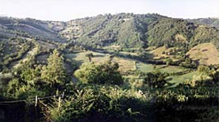 Panorama